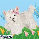 Webkinz: White Terrier