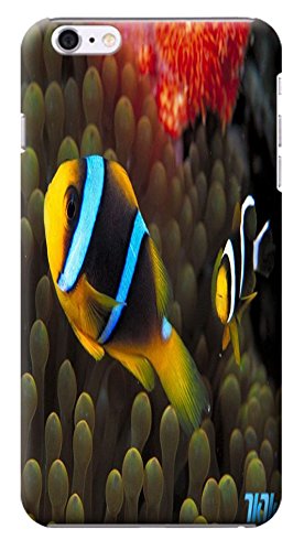 HUAHUI Case / Cover UnderSea World Beautiful Colorful Fishs Sunshine Special Design Cell Phone Cases For iPhone 6 (4.7″) Hard Cases No.7