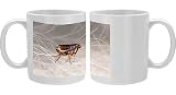 Photo Mug of SPH-116 CAT FLEA - crawling in cat fur from Ardea