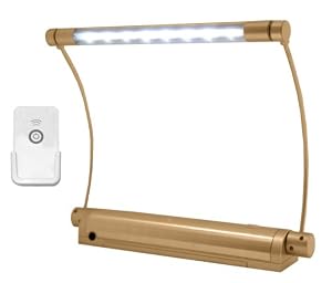 Rite Lite Lpl606xlgrc Wireless 8 Led Picture Light W Remote Control Brushed Gold Metal from Rite Lite