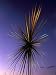 B of the Bang, Modern Steel Sculpture, City of Manchester Stadium, Manchester, Englan...