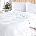 What Makes A Great Down Comforter? 41qCAWajilL. SL75 What Makes A Great Down Comforter?