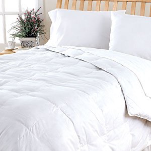 Microfiber Down Alternative Comforter Full/Queen 