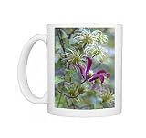 DAD-1705 Clematis Gravetye Beauty with adjacent seed-heads Photo Mugs