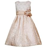 Best Price Rare Editions GIRLS 2T-6X METALLIC-GOLD FOIL DOT FLORAL EMBROIDERED CRINKLE SKIRT Special Occasion Flower Girl Holiday Party Dress