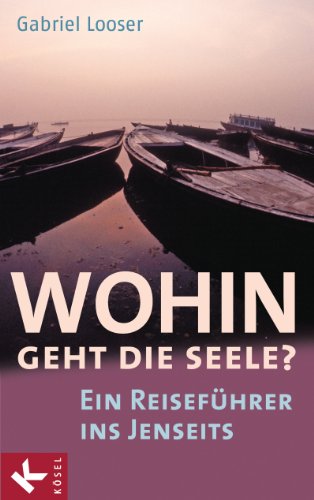 Wohin geht die Seele?: Ein Reiseführer ins Jenseits (German Edition)