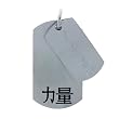 Inox Jewelry 316 Stainless Steel Chinese Strength Duo Dog tag Pendant