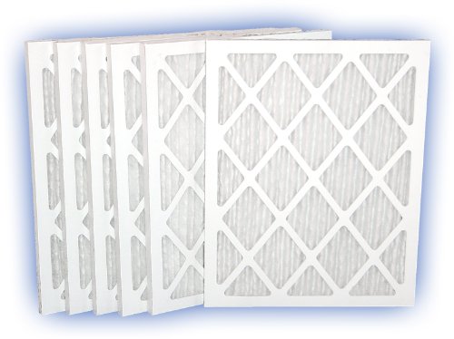 DP Green 13 Pleated Panel Filter 12x20x1 MERV 13 6-Pack