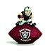 Oakland Raiders Desk Paperweight
