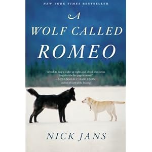 A Wolf Called Romeo