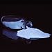 Heavenly White Glow in The Dark & UV Reactive Pigment Powder - 500 Grams