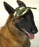 41qCtiexDmL. SL160  Casual Canine Camo Cap Large