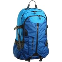 Patagonia Refugio 28L blue