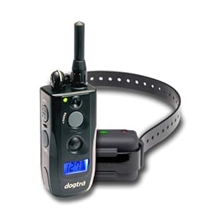 Petstores Dogtra Platinum 1/2 Mile Remote Trainer