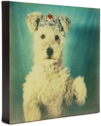 Dog Princess, Canvas Print / Canvas Art by mastosaari, 10x10" Instagram Art
