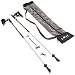 LEKI Nordic Walking NW Spin Poles