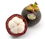 Frieda's Fresh Mangosteen 9 to 13 Fresh Mangosteens