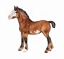 Bluebell - Clydesdale Foal�