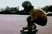1970s Skateboarding Safety Film: Skateboarding Sense [DVD]