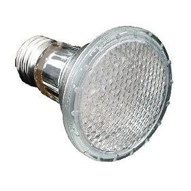 LED Light bulb, PAR20 24LED 110V White by Cyron