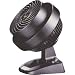 Kitchen & Housewares : Vornado 530B BLK Compact Air Circulator and Fan