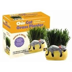 Chia Cat Grass Planter - Snoozy Kitty