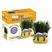 Chia Cat Grass Planter - Snoozy Kitty