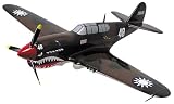Smithsonian Museum Replica Series, P-40 Warhawk - 1/48 Scale