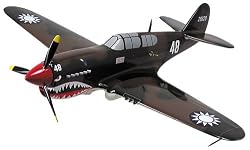 Smithsonian Museum Replica Series, P-40 Warhawk - 1/48 Scale