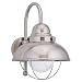 Sea Gull Lighting 89571PBLE-98 Outdoor Energy Star One-Light Wall Lantern, Brushed Stainless Steel Finish