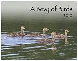 A Bevy of Birds 2010 Calendar