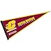 Central Michigan Chippewas Pennant Full Size Felt