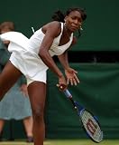 VENUS WILLIAMS 24x36 COLOR POSTER PRINT