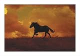 The Forgotten Horse by Stromberg,27 in. x 19 in.