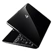 ASUS 10.1" Eee PC 160GB Netbook Computer with Windows XP Home - Black (1008HA)