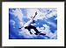 Airborne Skateboarder, Skateboarding Framed Photographic Print, 29x21