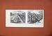 1873 New Method Pasture Irrigation Hop-Growing Vinery