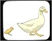 Decorated Mouse Pad with duckling, domestic, juvenile, chick, fowl, duck, adult, m, a...