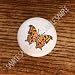 Butterflies Butterfly Question Mark Drawer Pulls Knobs