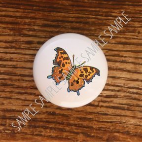 Cover image : Butterflies Butterfly Question Mark Drawer Pulls Knobs