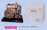 イワヤポンプ 25GBS5030S 水道加圧ポンプ