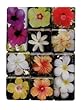 Hibiscus Flowers Mighty Magnets Set of 10