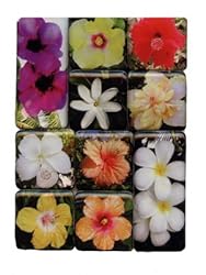 Hibiscus Flowers Mighty Magnets Set of 10