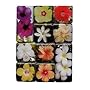 Hibiscus Flowers Mighty Magnets Set of 10