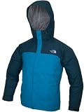 THE NORTH FACE(ザ・ノースフェイス) DOT SHOT JACKET NP10800