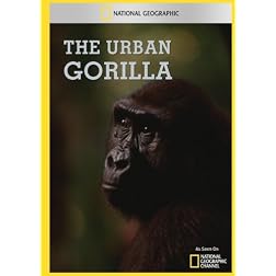 The Urban Gorilla