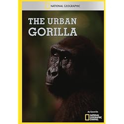 The Urban Gorilla