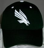 North Texas Mean Green Wool Team Color One Fit Hat