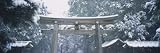 Entrance of a Temple, Tokyo Prefecture, Japan by Panoramic Images , 8x24