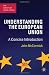 Understanding the European Union: A Concise Introduction (The European Union Series)
